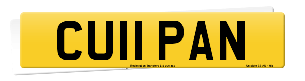 Registration number CU11 PAN